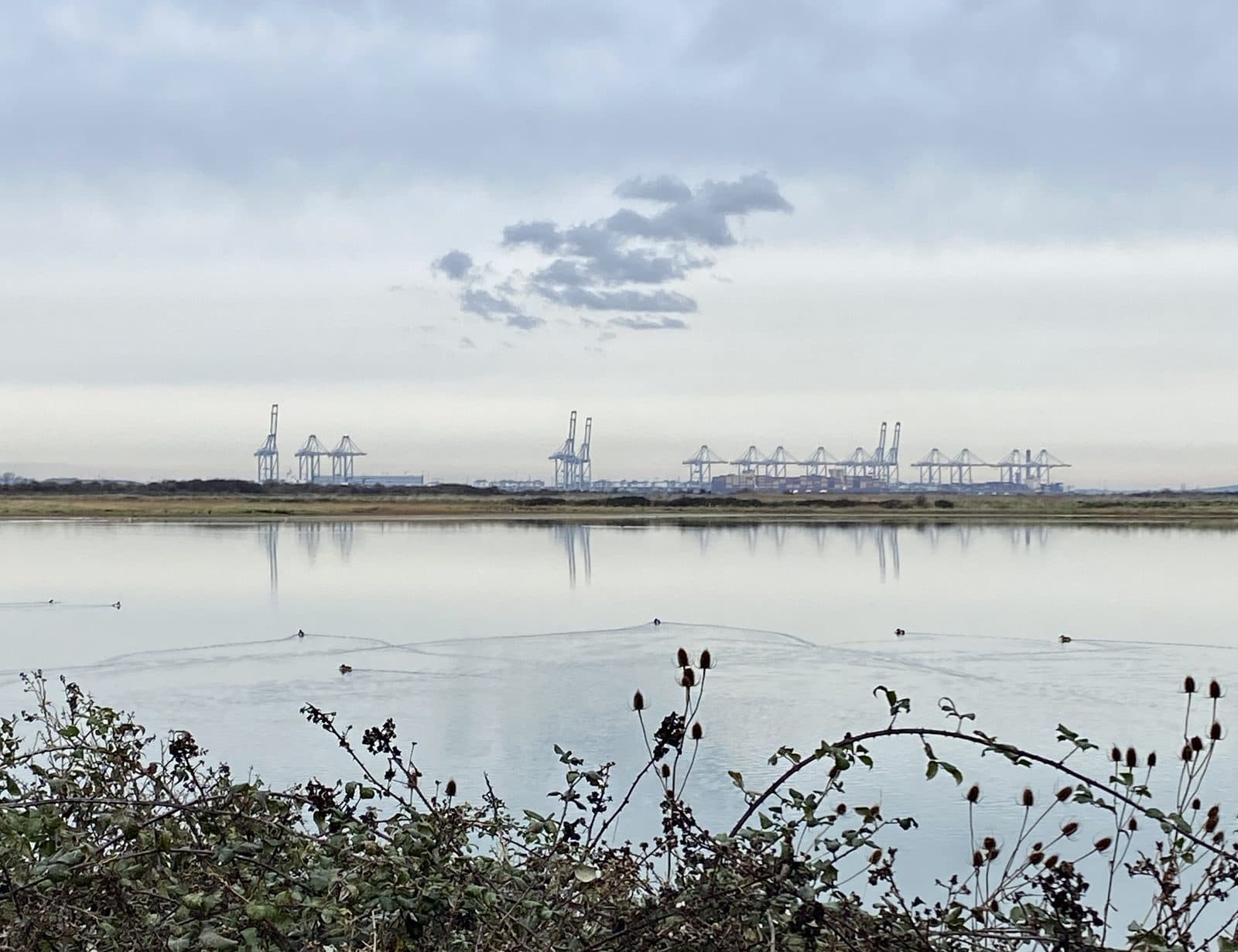 The cranes of London Gateway port at Thurrock, seen across the Thames estuary