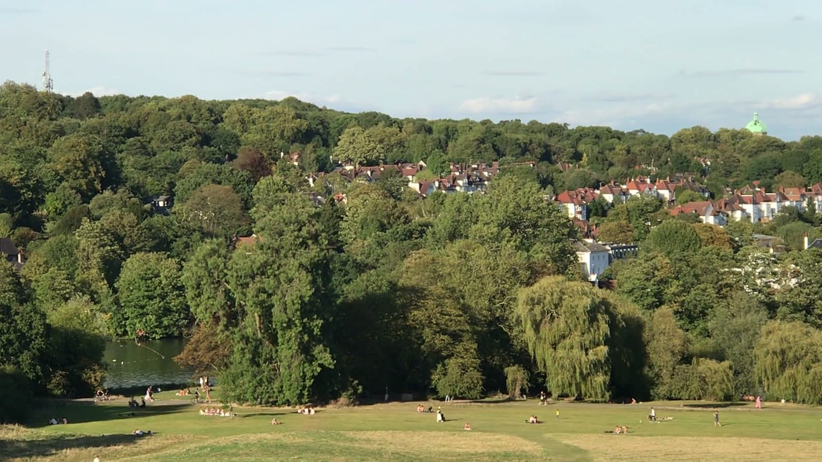Hampstead Heath on a summer evening, looking across the trees and ponds towards the houses of Highgate