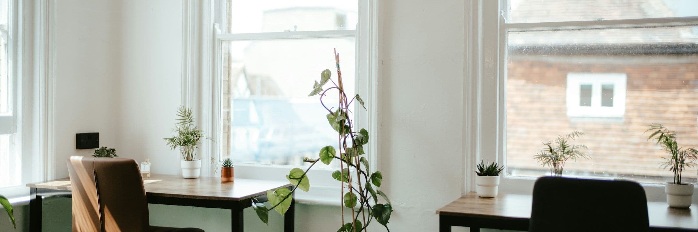 A quiet studio with tall sash windows, plants and two desks, looking out over London rooftops