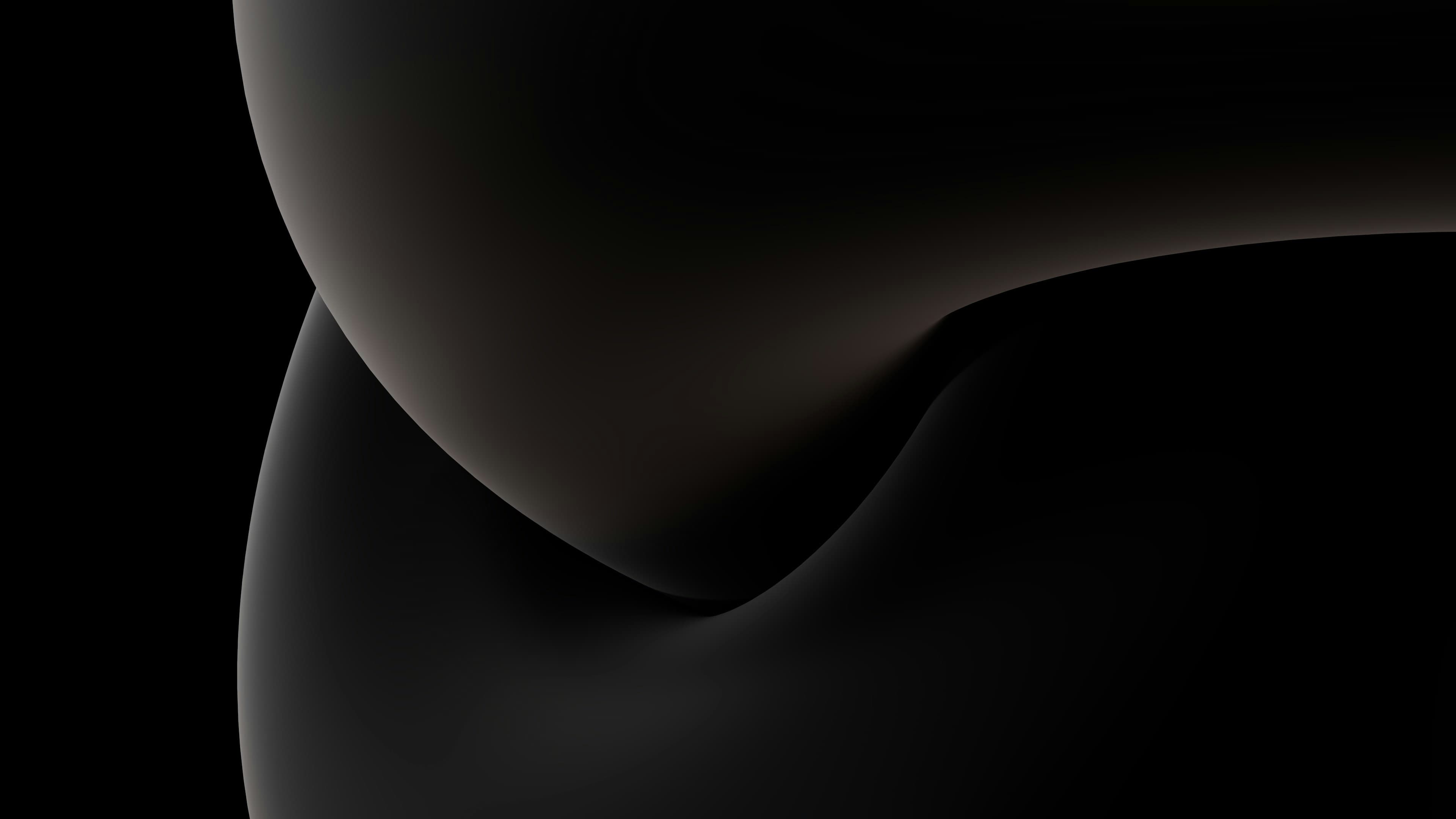 Soft dark sculptural curves on a black ground